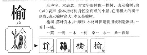 榆五行|榆字解释